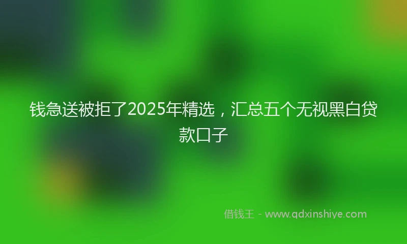 钱急送被拒了2025年精选，汇总五个无视黑白贷款口子