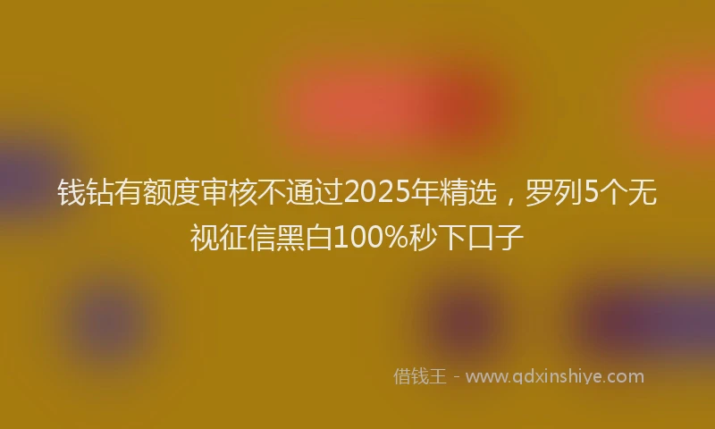 钱钻有额度审核不通过2025年精选，罗列5个无视征信黑白100%秒下口子