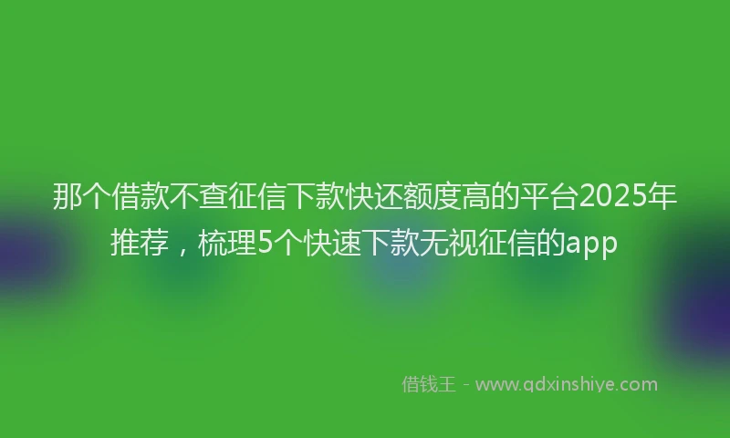 那个借款不查征信下款快还额度高的平台2025年推荐，梳理5个快速下款无视征信的app