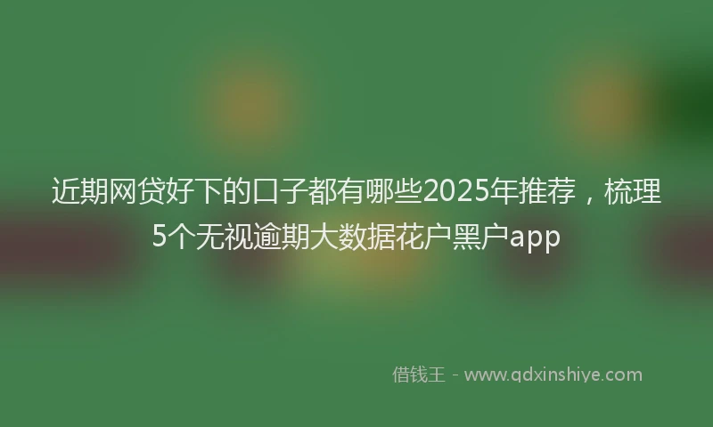 近期网贷好下的口子都有哪些2025年推荐，梳理5个无视逾期大数据花户黑户app