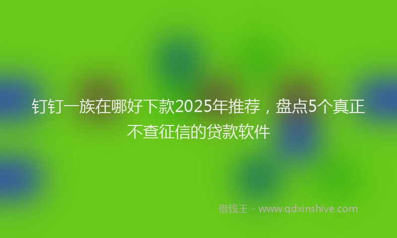 钉钉一族在哪好下款2025年推荐，盘点5个真正不查征信的贷款软件