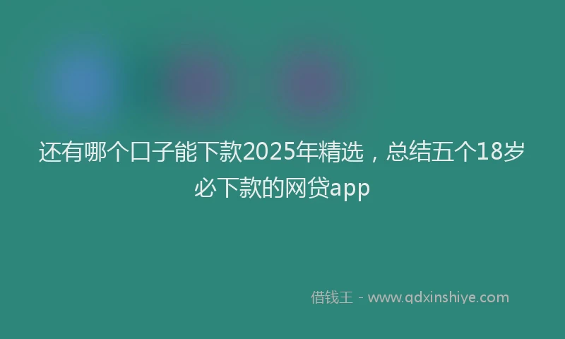 还有哪个口子能下款2025年精选，总结五个18岁必下款的网贷app
