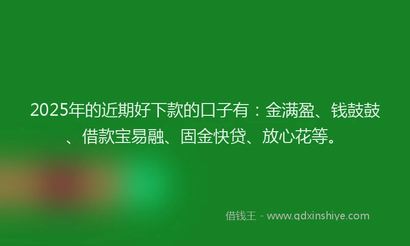 2025年的近期好下款的口子有：金满盈、钱鼓鼓、借款宝易融、固金快贷、放心花等。