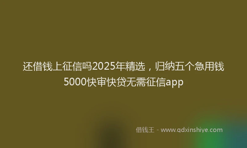 还借钱上征信吗2025年精选，归纳五个急用钱5000快审快贷无需征信app