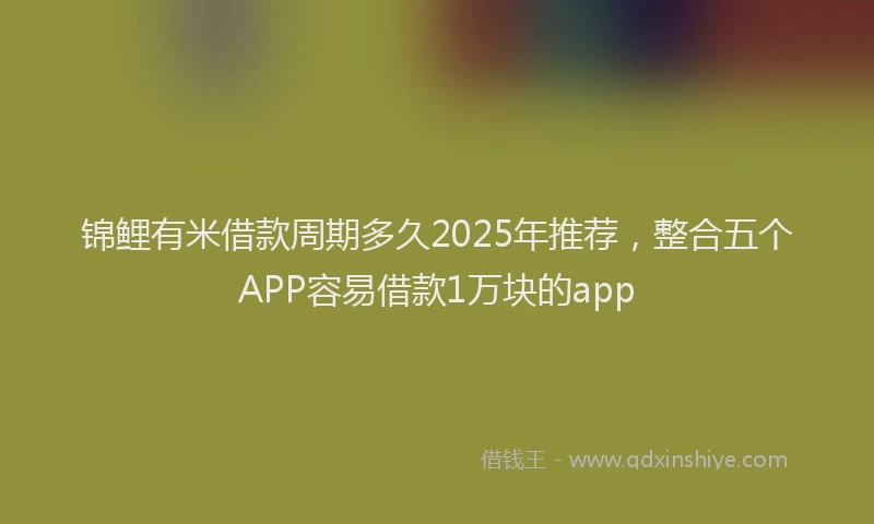 锦鲤有米借款周期多久2025年推荐，整合五个APP容易借款1万块的app