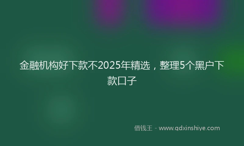 金融机构好下款不2025年精选，整理5个黑户下款口子