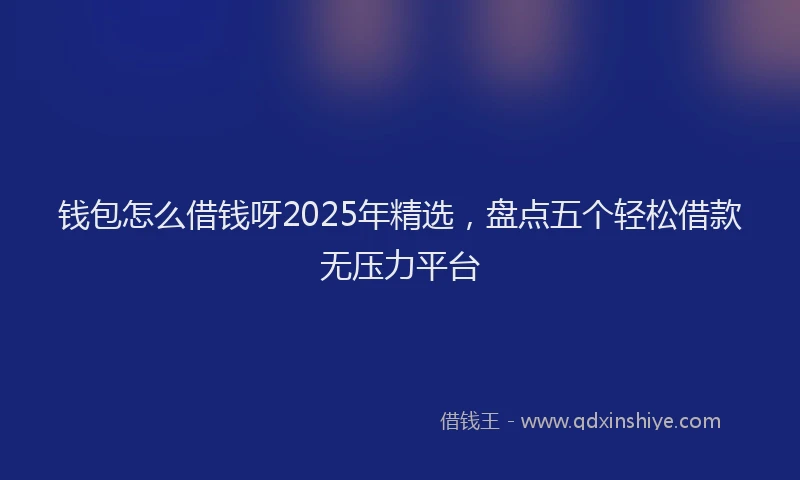 钱包怎么借钱呀2025年精选，盘点五个轻松借款无压力平台