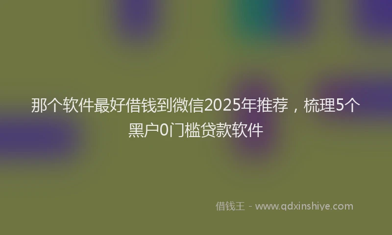 那个软件最好借钱到微信2025年推荐，梳理5个黑户0门槛贷款软件