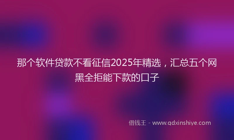 那个软件贷款不看征信2025年精选，汇总五个网黑全拒能下款的口子