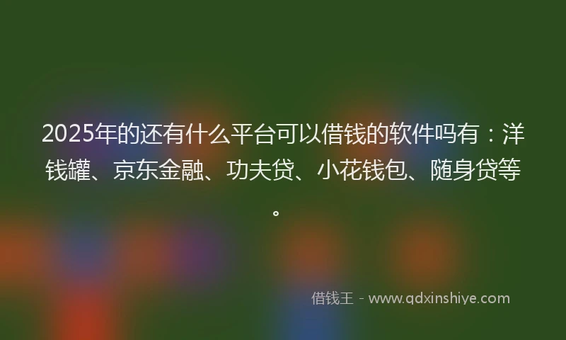 2025年的还有什么平台可以借钱的软件吗有：洋钱罐、京东金融、功夫贷、小花钱包、随身贷等。