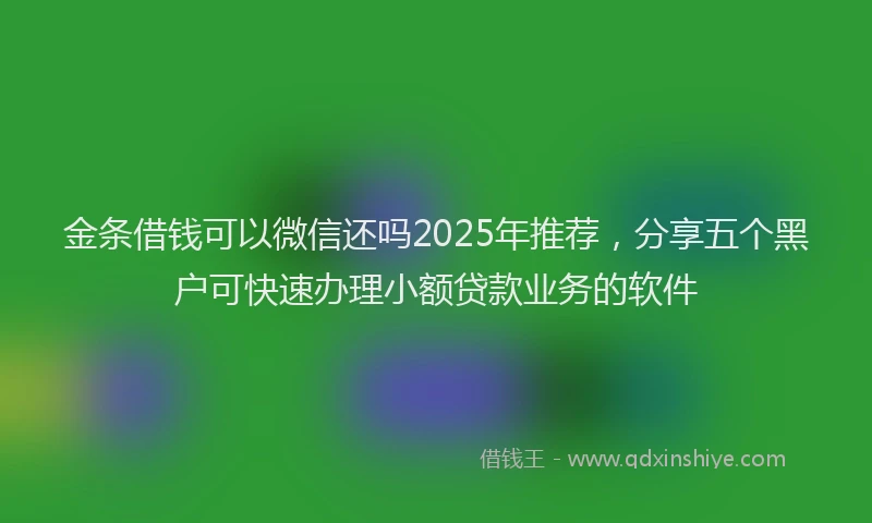 金条借钱可以微信还吗2025年推荐，分享五个黑户可快速办理小额贷款业务的软件