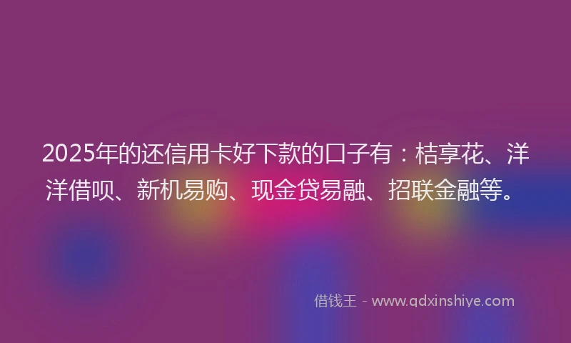 2025年的还信用卡好下款的口子有：桔享花、洋洋借呗、新机易购、现金贷易融、招联金融等。