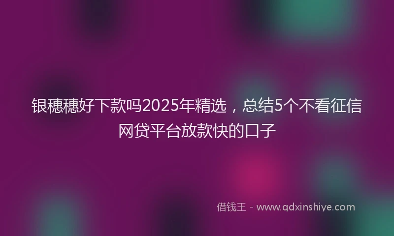 银穗穗好下款吗2025年精选，总结5个不看征信网贷平台放款快的口子