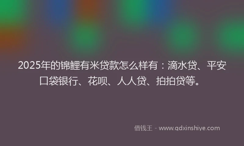 2025年的锦鲤有米贷款怎么样有：滴水贷、平安口袋银行、花呗、人人贷、拍拍贷等。