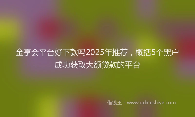 金享会平台好下款吗2025年推荐，概括5个黑户成功获取大额贷款的平台
