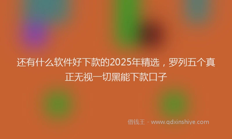 还有什么软件好下款的2025年精选，罗列五个真正无视一切黑能下款口子