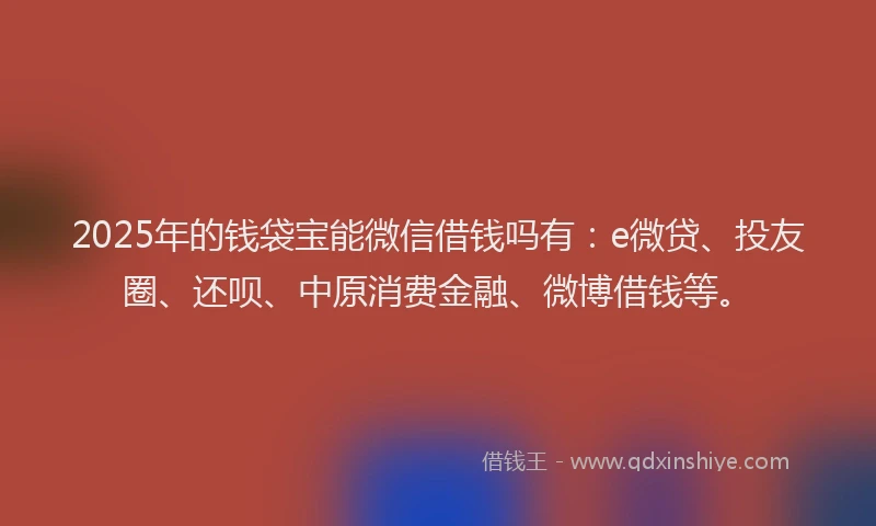 2025年的钱袋宝能微信借钱吗有：e微贷、投友圈、还呗、中原消费金融、微博借钱等。