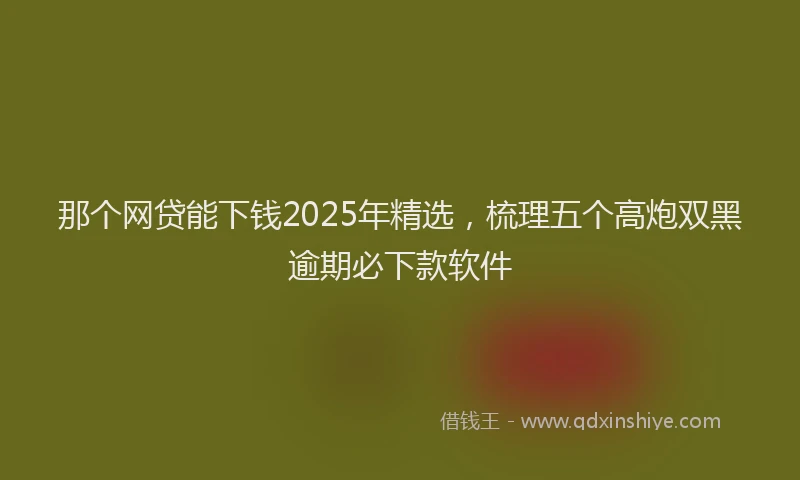 那个网贷能下钱2025年精选，梳理五个高炮双黑逾期必下款软件