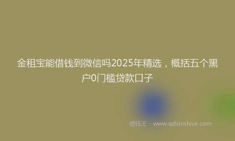 金租宝能借钱到微信吗2025年精选，概括五个黑户0门槛贷款口子