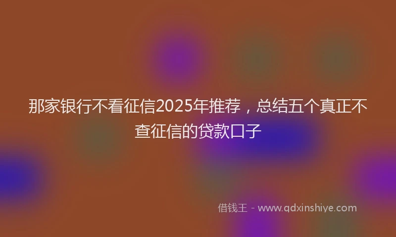 那家银行不看征信2025年推荐，总结五个真正不查征信的贷款口子