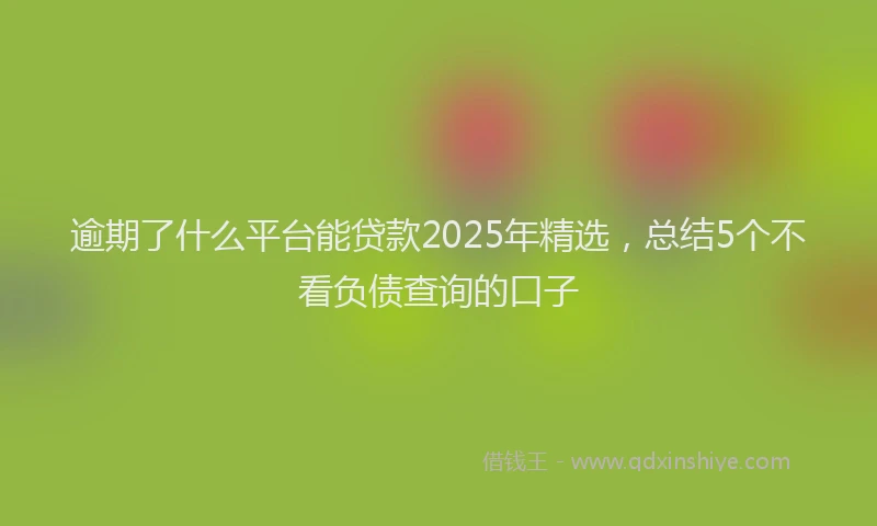逾期了什么平台能贷款2025年精选，总结5个不看负债查询的口子