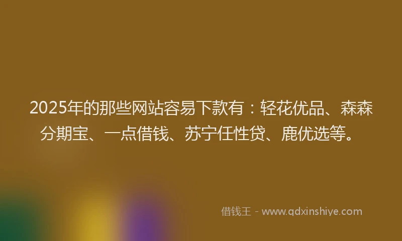 2025年的那些网站容易下款有：轻花优品、森森分期宝、一点借钱、苏宁任性贷、鹿优选等。