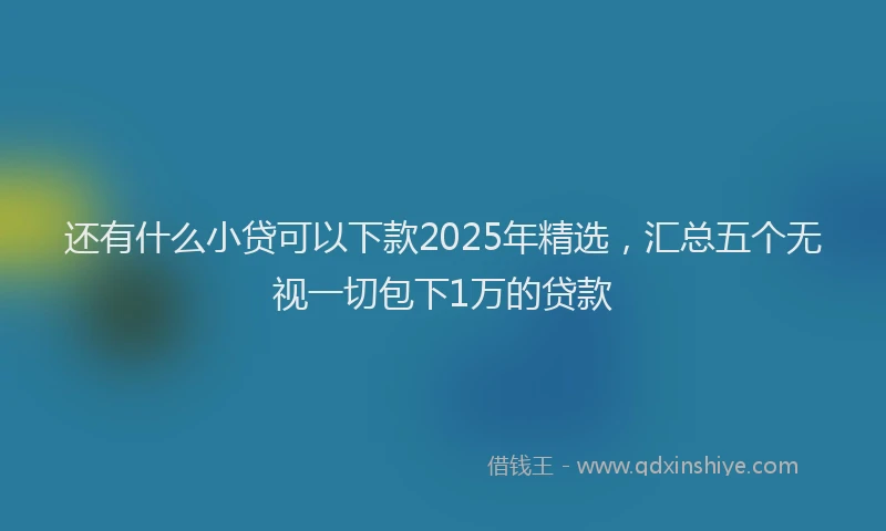 还有什么小贷可以下款2025年精选，汇总五个无视一切包下1万的贷款
