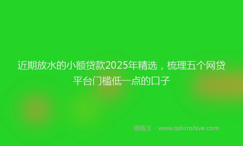 近期放水的小额贷款2025年精选，梳理五个网贷平台门槛低一点的口子