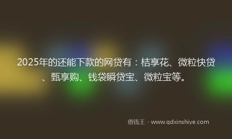 2025年的还能下款的网贷有：桔享花、微粒快贷、甄享购、钱袋瞬贷宝、微粒宝等。