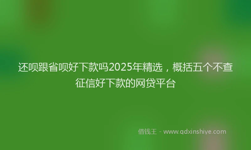 还呗跟省呗好下款吗2025年精选，概括五个不查征信好下款的网贷平台