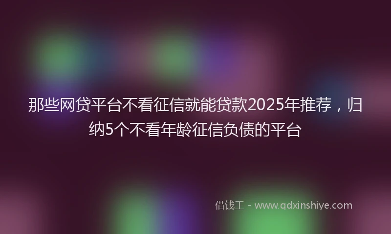 那些网贷平台不看征信就能贷款2025年推荐，归纳5个不看年龄征信负债的平台