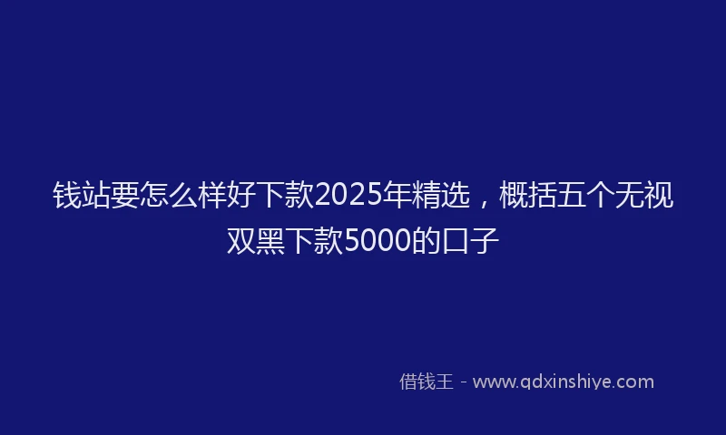 钱站要怎么样好下款2025年精选，概括五个无视双黑下款5000的口子