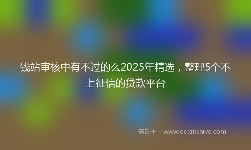 钱站审核中有不过的么2025年精选，整理5个不上征信的贷款平台