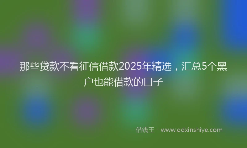 那些贷款不看征信借款2025年精选，汇总5个黑户也能借款的口子
