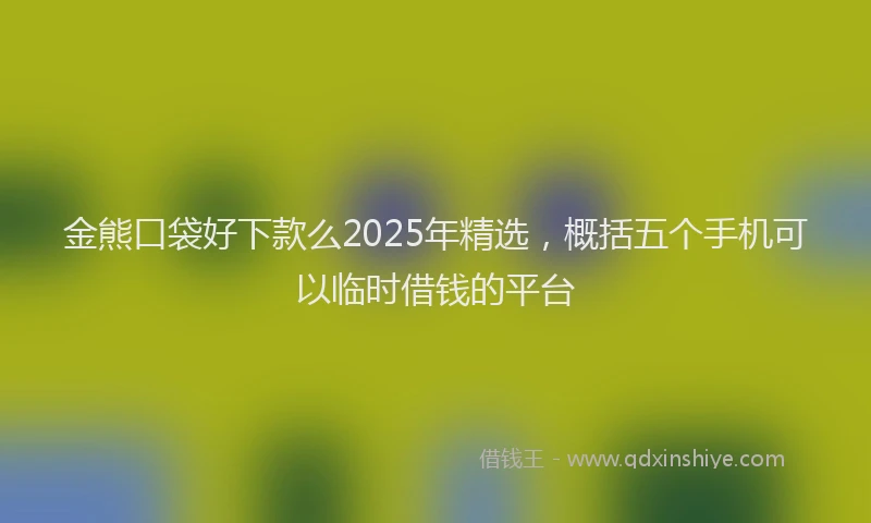 金熊口袋好下款么2025年精选，概括五个手机可以临时借钱的平台