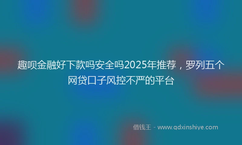 趣呗金融好下款吗安全吗2025年推荐，罗列五个网贷口子风控不严的平台
