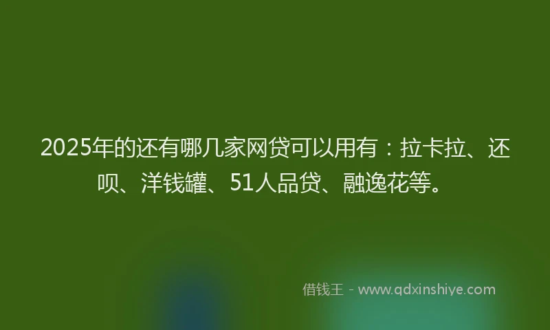 2025年的还有哪几家网贷可以用有：拉卡拉、还呗、洋钱罐、51人品贷、融逸花等。