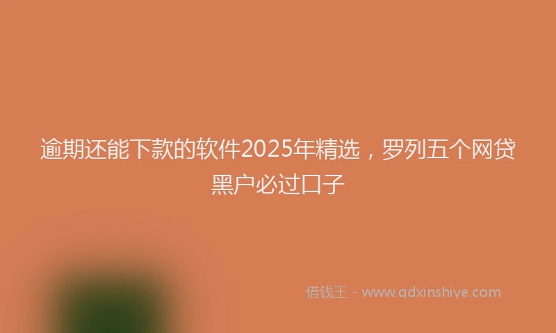 逾期还能下款的软件2025年精选，罗列五个网贷黑户必过口子