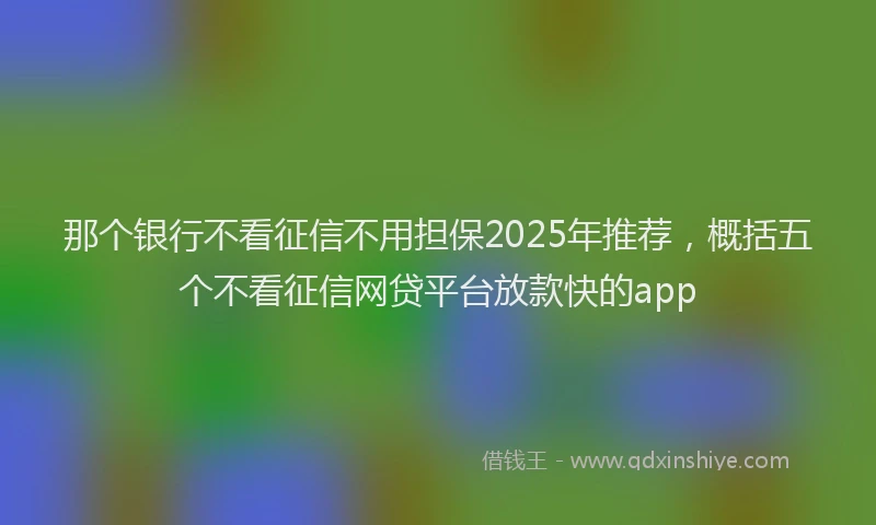 那个银行不看征信不用担保2025年推荐，概括五个不看征信网贷平台放款快的app
