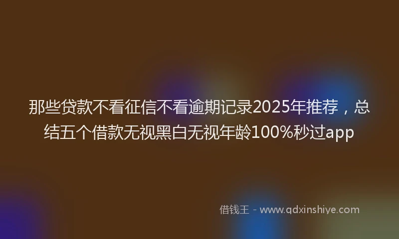 那些贷款不看征信不看逾期记录2025年推荐，总结五个借款无视黑白无视年龄100%秒过app