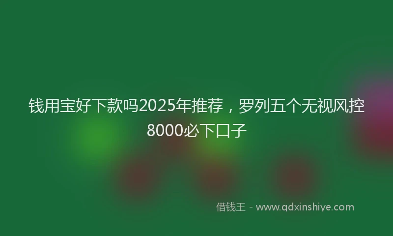 钱用宝好下款吗2025年推荐，罗列五个无视风控8000必下口子