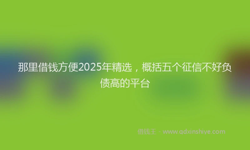 那里借钱方便2025年精选，概括五个征信不好负债高的平台
