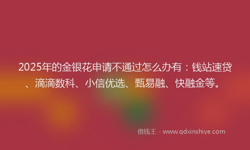 2025年的金银花申请不通过怎么办有：钱站速贷、滴滴数科、小信优选、甄易融、快融金等。