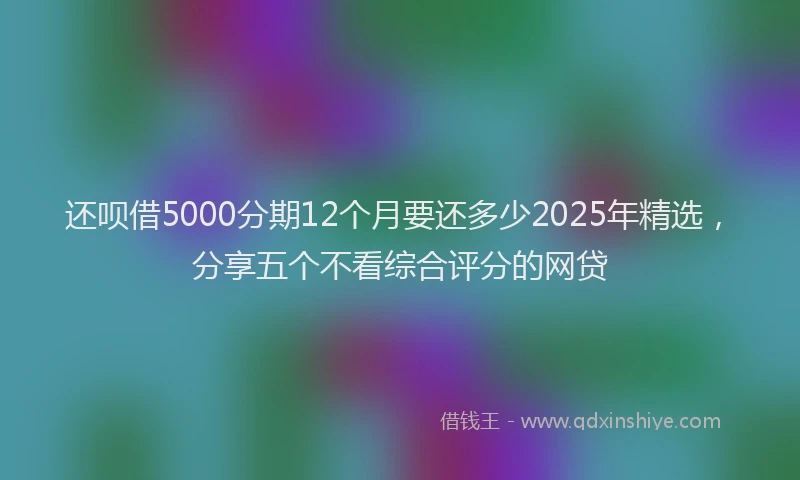 还呗借5000分期12个月要还多少2025年精选，分享五个不看综合评分的网贷