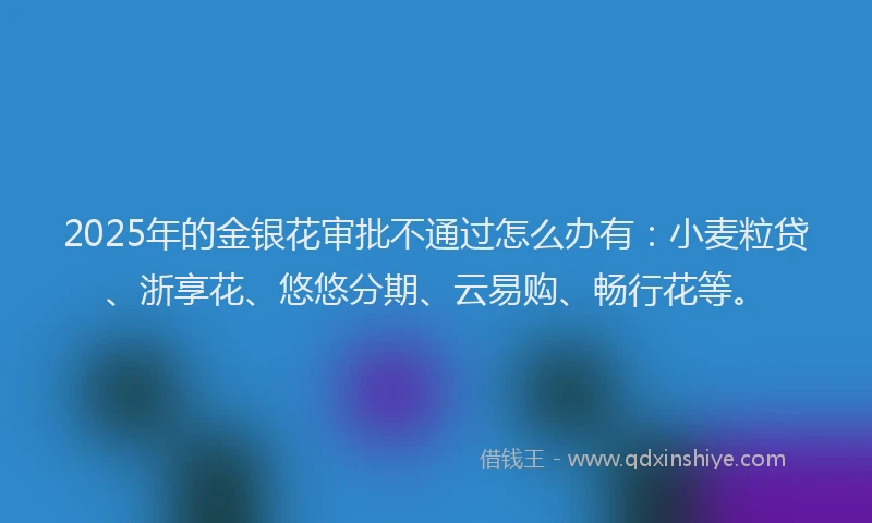 2025年的金银花审批不通过怎么办有：小麦粒贷、浙享花、悠悠分期、云易购、畅行花等。