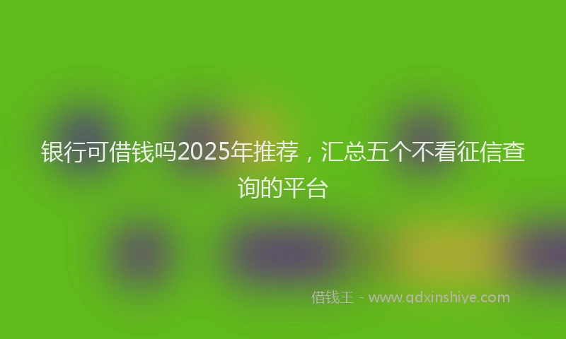银行可借钱吗2025年推荐，汇总五个不看征信查询的平台
