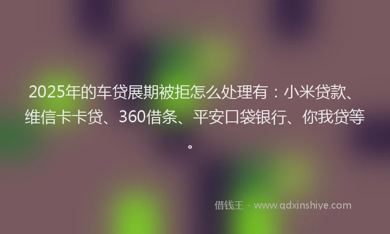 2025年的车贷展期被拒怎么处理有：小米贷款、维信卡卡贷、360借条、平安口袋银行、你我贷等。