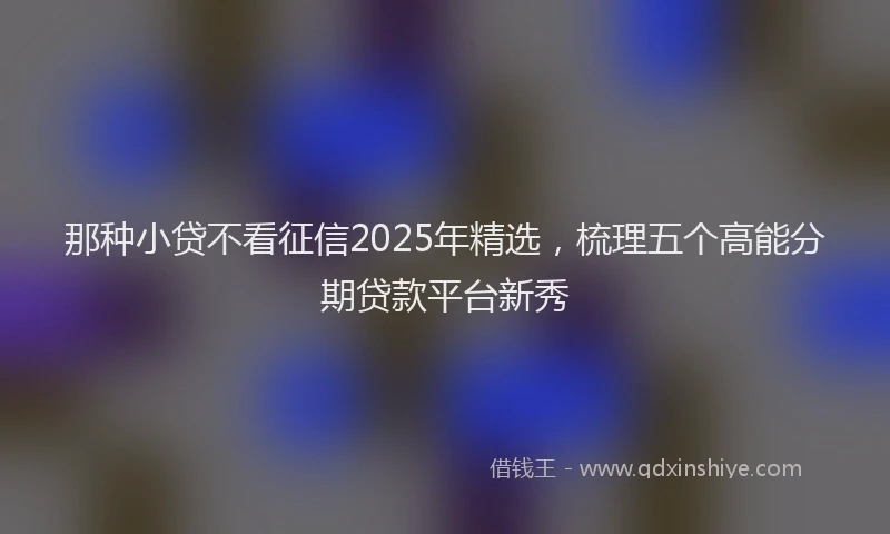 那种小贷不看征信2025年精选，梳理五个高能分期贷款平台新秀