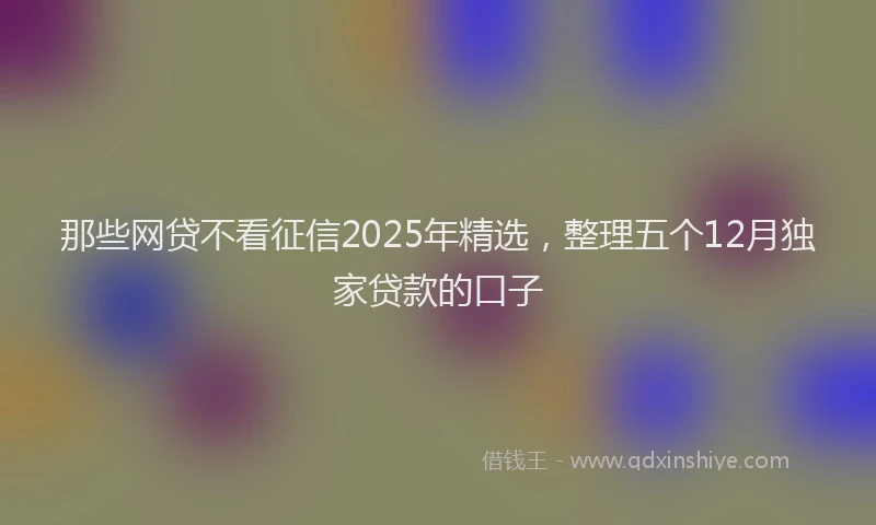 那些网贷不看征信2025年精选，整理五个12月独家贷款的口子