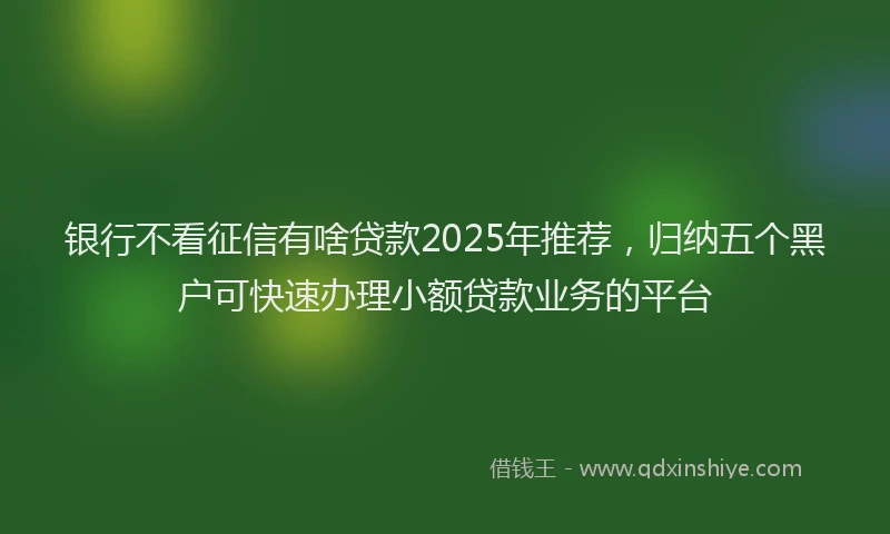 银行不看征信有啥贷款2025年推荐，归纳五个黑户可快速办理小额贷款业务的平台